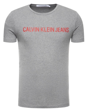 Calvin Klein Jeans T-Shirt Institutional J30J307856 Szary Regular Fit